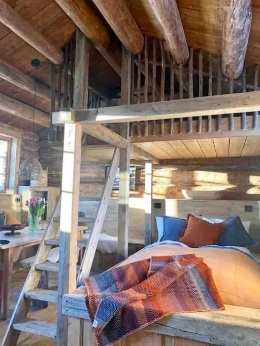 Sauefjoset - Idyllisk Gardstun Fra 1800-Tallet Skjåk Exteriör bild